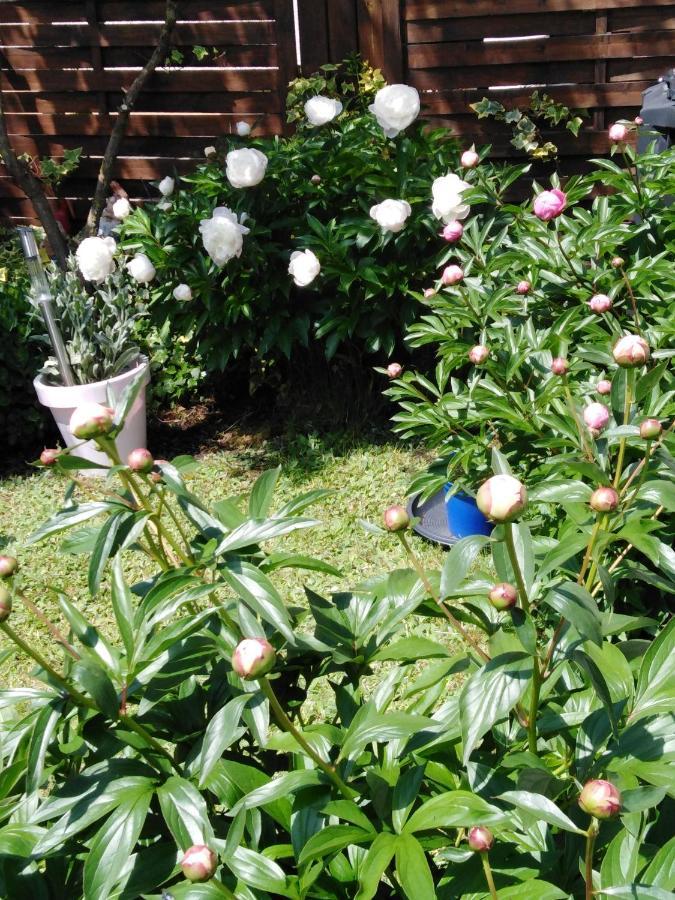 Ferienwohnung Mit Kleinem Garten Sonnenbühl Dış mekan fotoğraf