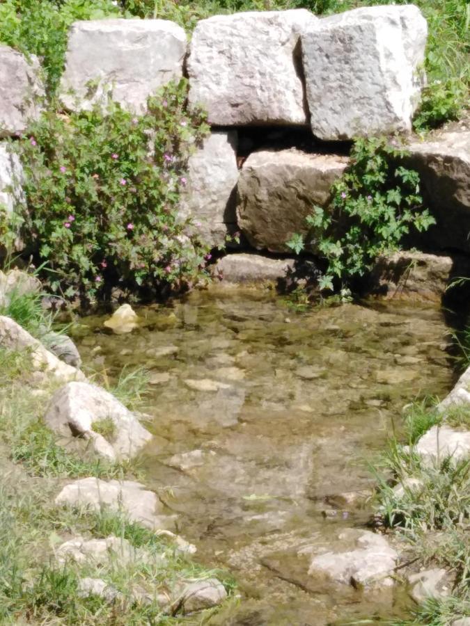 Ferienwohnung Mit Kleinem Garten Sonnenbühl Dış mekan fotoğraf