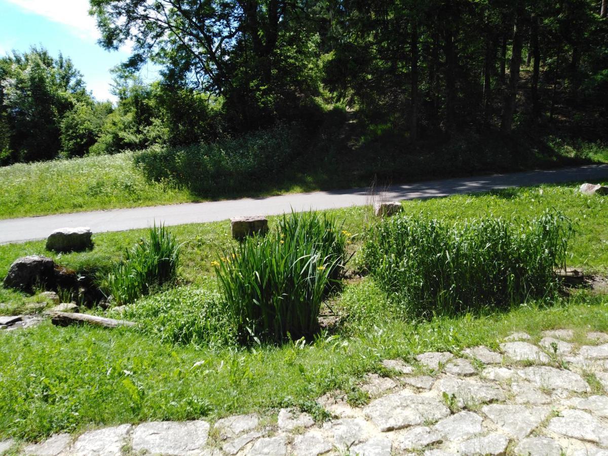 Ferienwohnung Mit Kleinem Garten Sonnenbühl Dış mekan fotoğraf