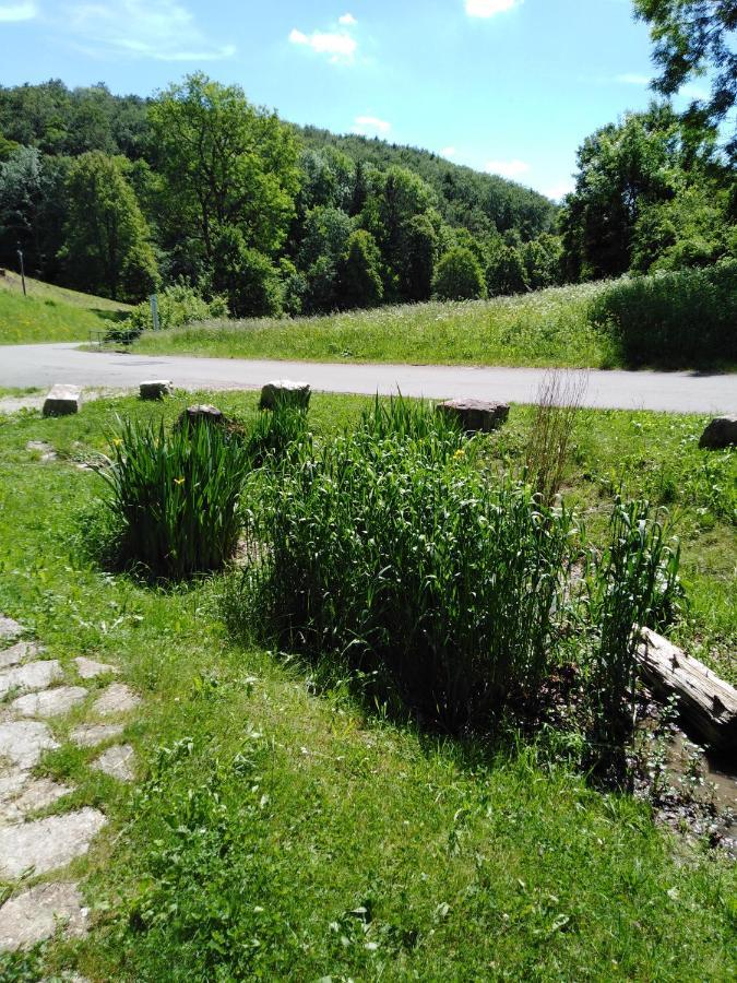 Ferienwohnung Mit Kleinem Garten Sonnenbühl Dış mekan fotoğraf