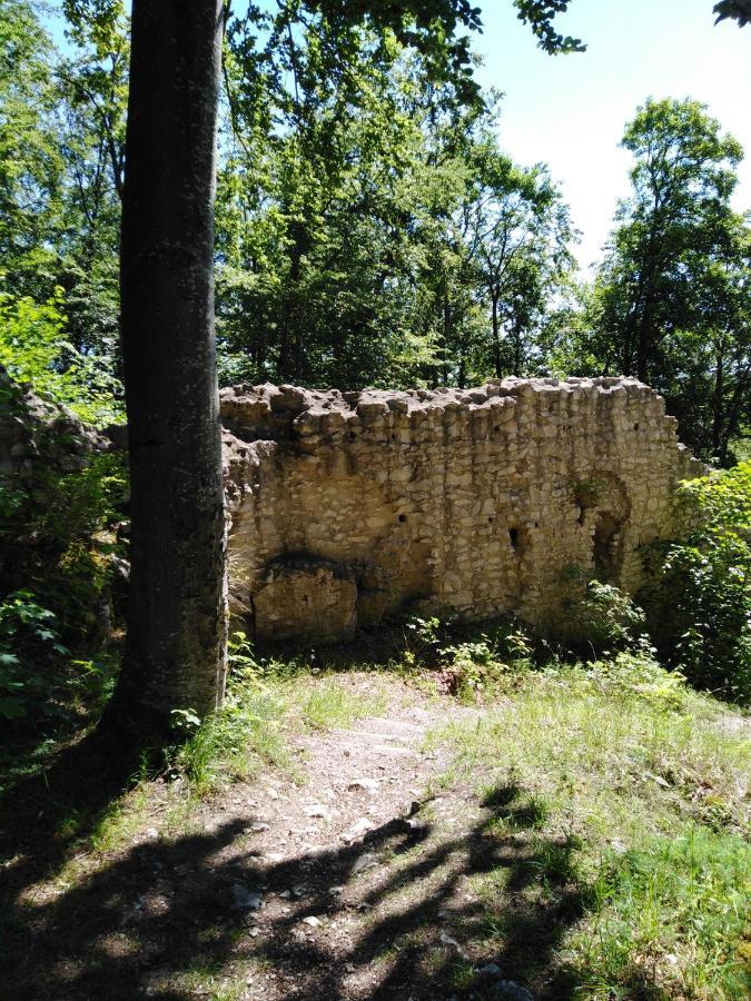 Ferienwohnung Mit Kleinem Garten Sonnenbühl Dış mekan fotoğraf