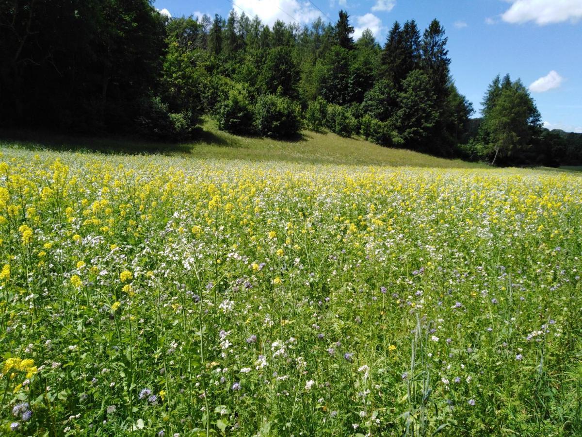 Ferienwohnung Mit Kleinem Garten Sonnenbühl Dış mekan fotoğraf